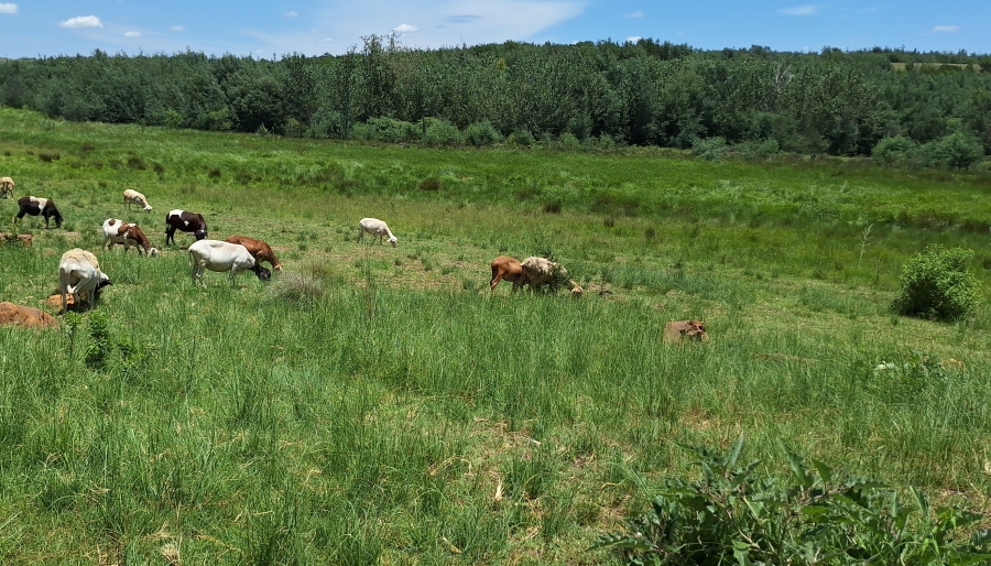 3 Bedroom Property for Sale in Koster North West